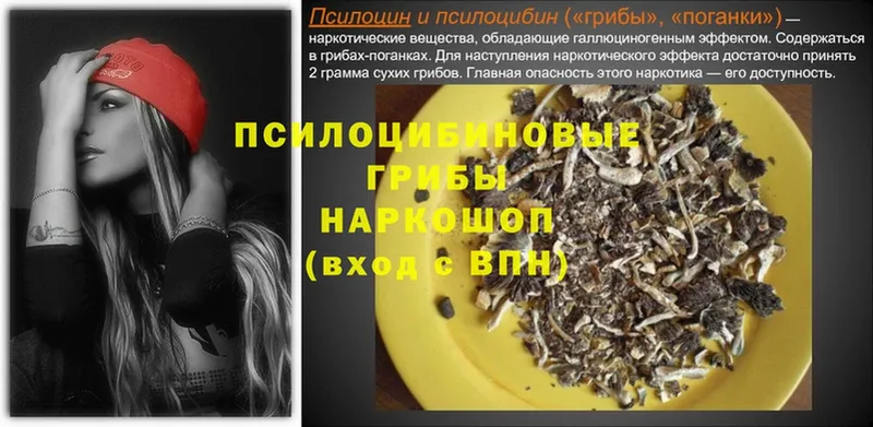 купить наркотики сайты  Конаково  Псилоцибиновые грибы GOLDEN TEACHER 